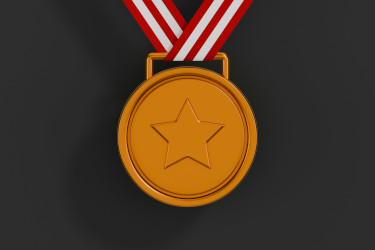 Tech Bronze Package
